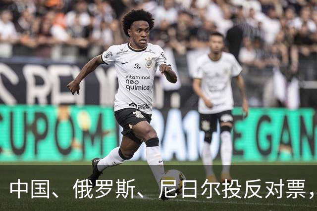 中国、俄罗斯、尼日尔投反对票，巴西、南非、印度等8国投弃权票