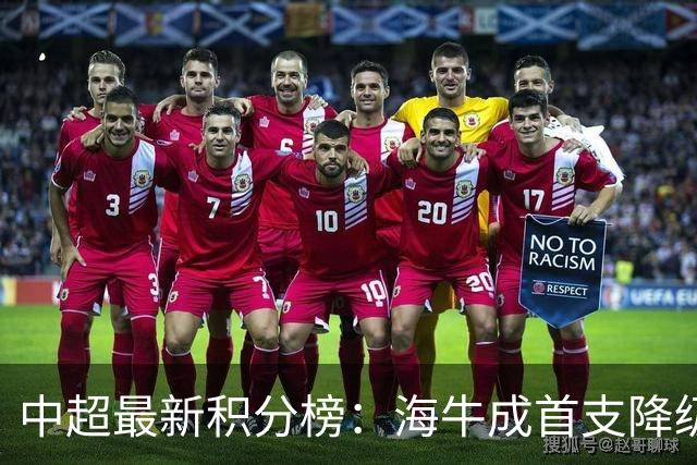 中超最新积分榜：海牛成首支降级球队，国安先赛一场升至第2