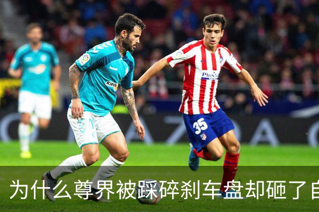 为什么尊界被踩碎刹车盘却砸了自家招牌？