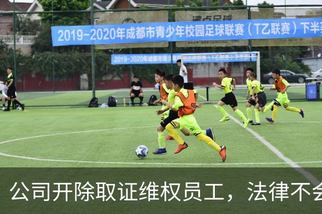 公司开除取证维权员工，法律不会惯着 | 新京报快评