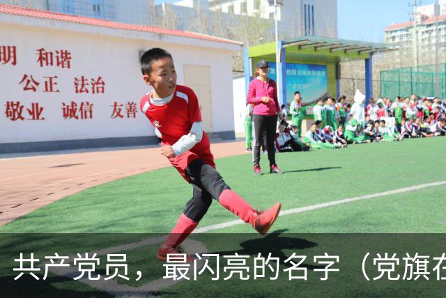 共产党员，最闪亮的名字（党旗在基层一线高高飘扬）