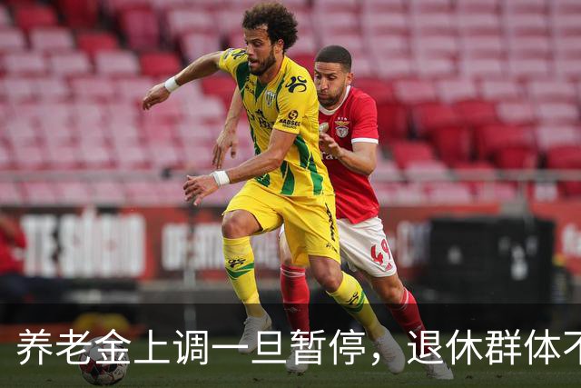 养老金上调一旦暂停，退休群体不是首要对象，而是两亿就业群体