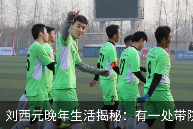 刘西元晚年生活揭秘：有一处带院子的二层小楼，自费三千元修建市场