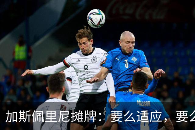 加斯佩里尼摊牌：要么适应，要么承受后果