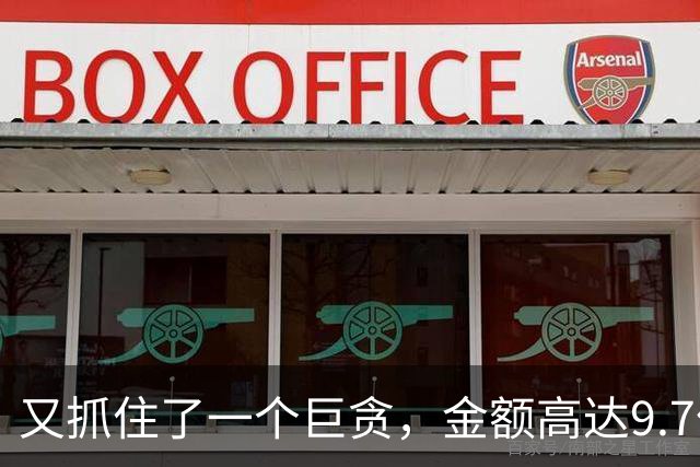 又抓住了一个巨贪，金额高达9.7亿，首富夫人郝斌跨境逃亡失败了
