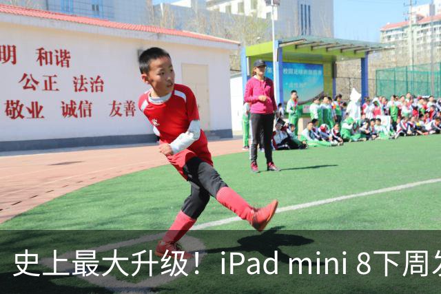 史上最大升级！iPad mini 8下周发布：首次OLED屏、A20 Pro+12GB内存
