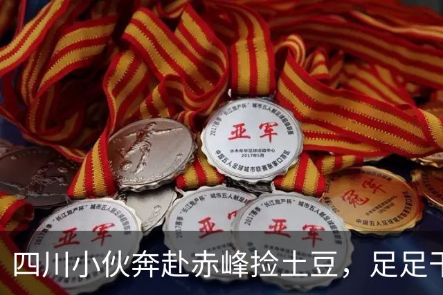 四川小伙奔赴赤峰捡土豆，足足干了 16 天，到账金额让他彻底看傻了