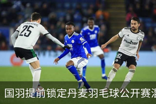 国羽提前锁定丹麦羽毛球公开赛混双冠军