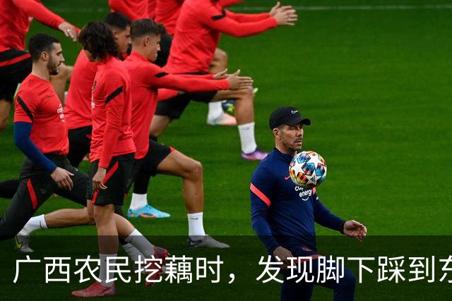广西农民挖藕时，发现脚下踩到东西，众人合力将其挖出后全都傻眼