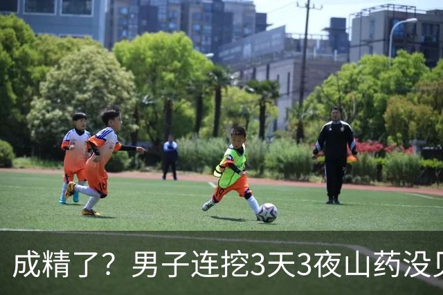 成精了？男子连挖3天3夜山药没见底，专家评估：或可卖出天价