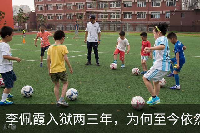 李佩霞入狱两三年，为何至今依然被炒作？