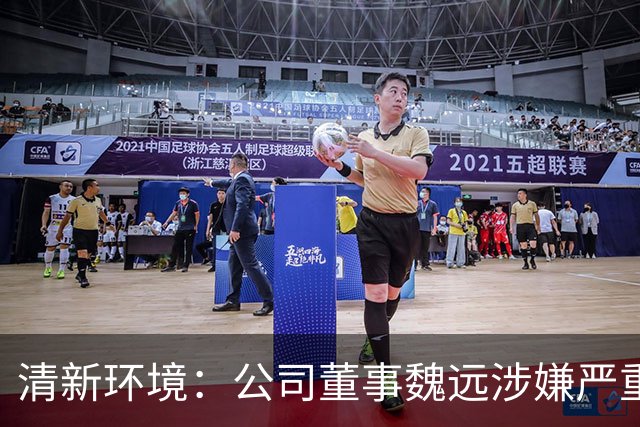 清新环境：公司董事魏远涉嫌严重违纪违法，正接受纪律审查和监察调查