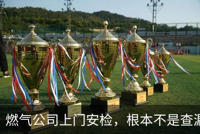 燃气公司上门安检，根本不是查漏气！真正目的其实是这三件事