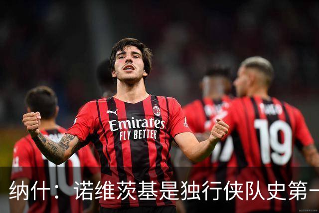 纳什：诺维茨基是独行侠队史第一人 他彻底改变了大个子比赛方式