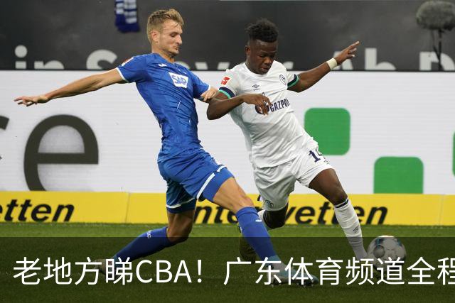 老地方睇CBA！广东体育频道全程转播CBA新赛季广东三队比赛