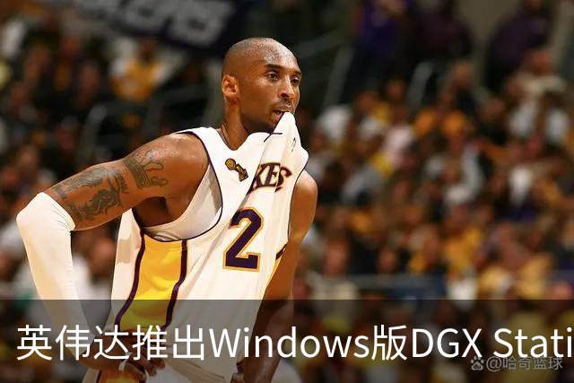 英伟达推出Windows版DGX Station：748GB统一内存