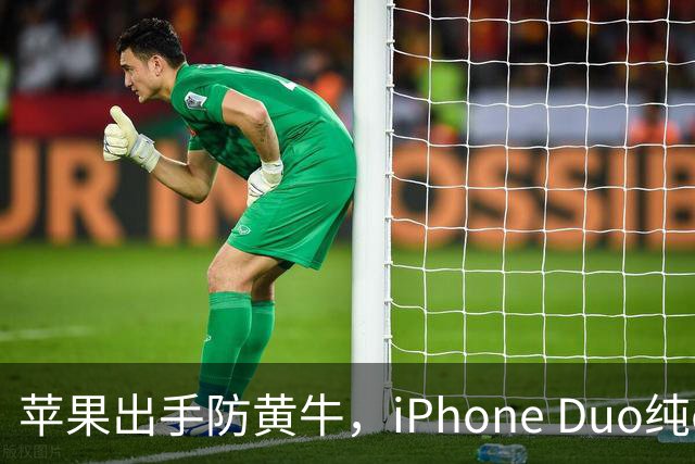 苹果出手防黄牛，iPhone Duo纯eSIM 劝退主力机用户