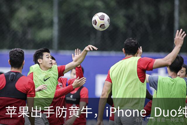 苹果出手防黄牛，iPhone Duo纯eSIM 劝退主力机用户