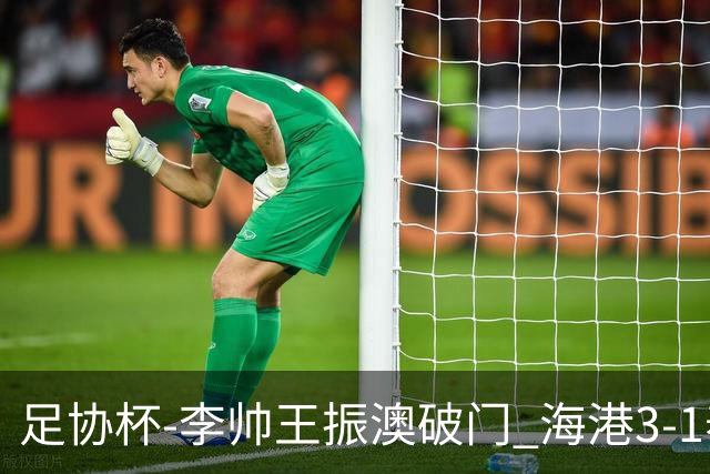 足协杯-李帅王振澳破门 海港3-1泰山首度夺冠