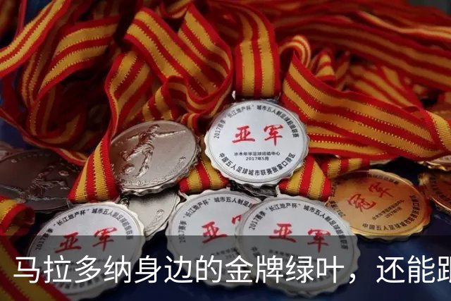 马拉多纳身边的金牌绿叶，还能跟济科珠联璧合，却不适合意大利队