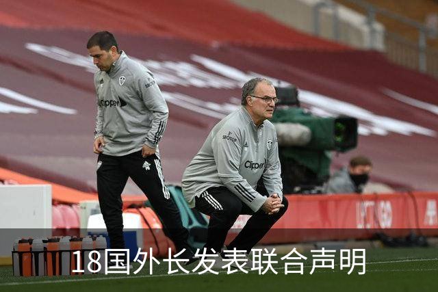 18国外长发表联合声明