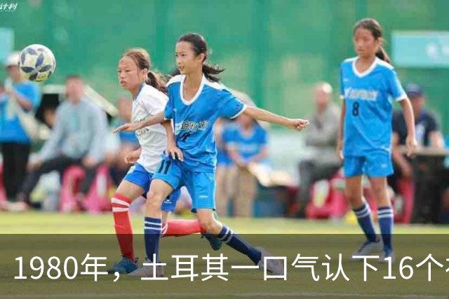 1980年，土耳其一口气认下16个祖先，为何被全世界当笑话？