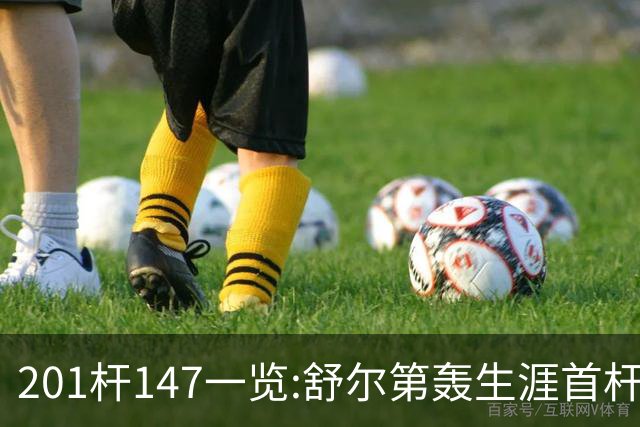 201杆147一览:舒尔第轰生涯首杆147 成历史第79人