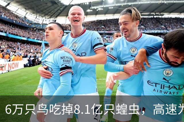 6万只鸟吃掉8.1亿只蝗虫，高速为它们停工一个月