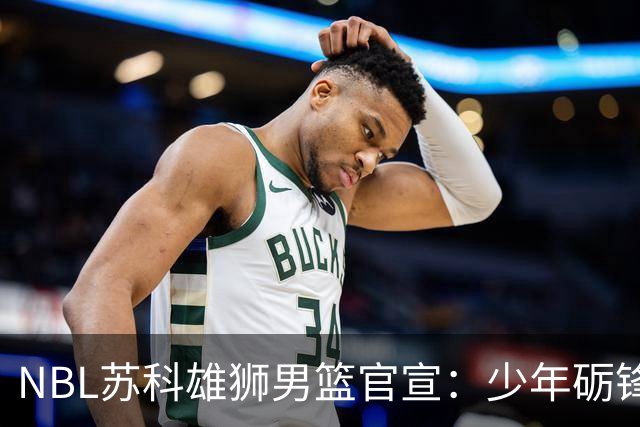 NBL苏科雄狮男篮官宣：少年砺锋芒 欢迎赵芮加盟！